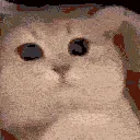 3_