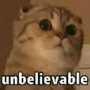 cat_unbelievable