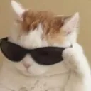 swag