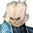 Vergil_cat Discord Emoji
