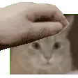 BaguettePat BaguettePat