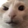 Huh