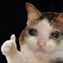 OkCryingCat OkCryingCat