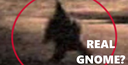 Gnomesarereal Discord emoji