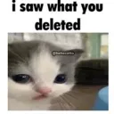 catdeleted