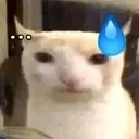 gulp gulp