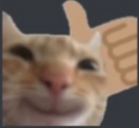 gatolike Discord emoji