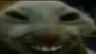 xdd xdd