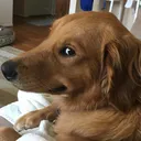 side_eye side_eye