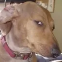side_eye side_eye