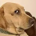 side_eye side_eye