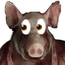pigeyes pigeyes