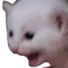 reee reee