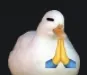 PrayDuck PrayDuck