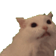 emoji_41