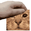 emoji_42