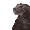 emoji_46