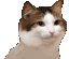 emoji_47