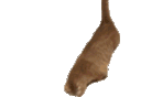 emoji_49