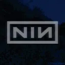 nin