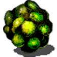 CommonFruit Discord emoji