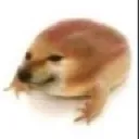 Froge froge Discord Emoji