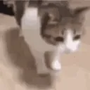 ded