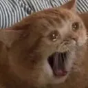 SCREAMMMMMM2
