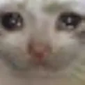 SadCat