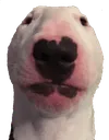 bruh
