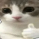 Cat Thumbsup cat_thumbsup Discord Emoji