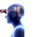 brains