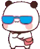 ysp_discopanda