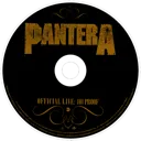 pantera
