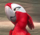 tooConfidentScarlet Discord emoji