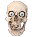 skullfunni