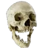 skul