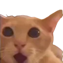 gasp