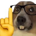 Nerd