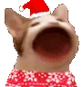 christmascatpop