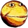 Bruh Bruh