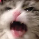 angry