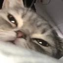 sleep
