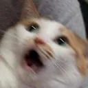 aaa