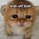 brah