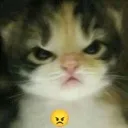 mad mad