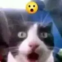 what