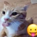 bleh