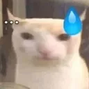 huh