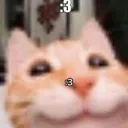 yay